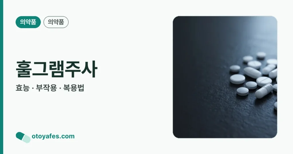 훌그램주사 정리 썸네일