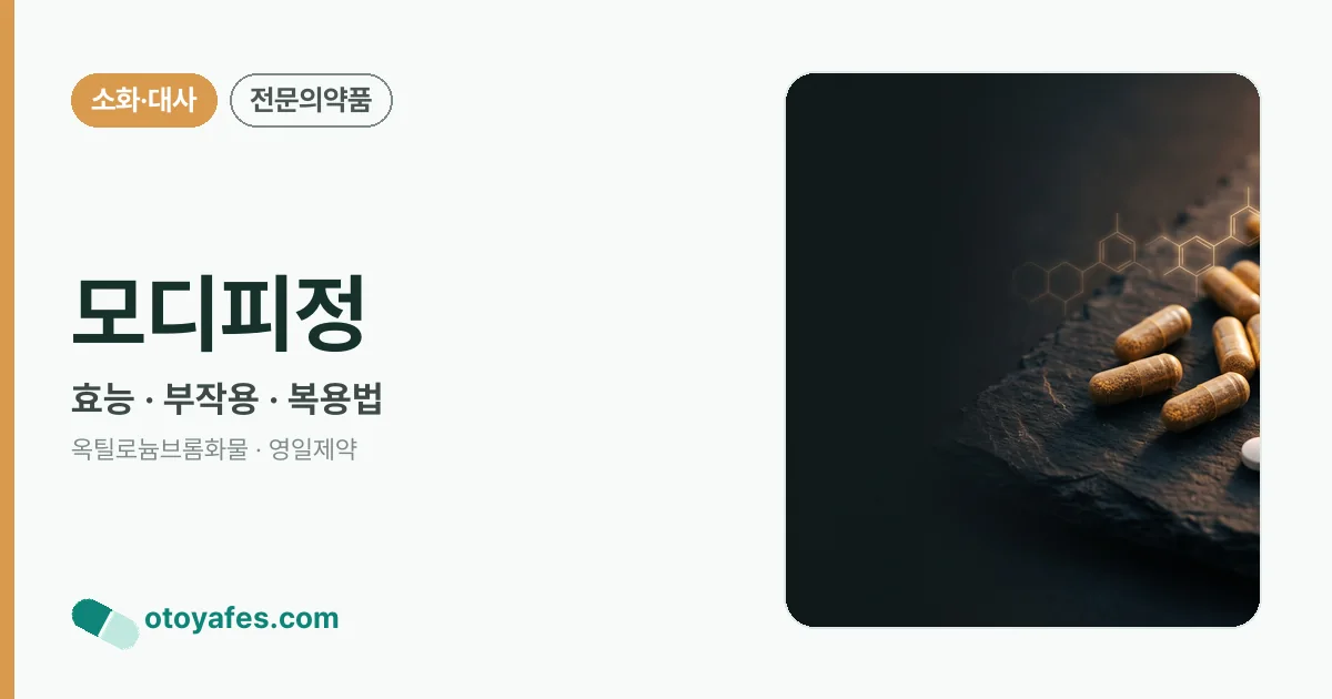 모디피정 정리 썸네일