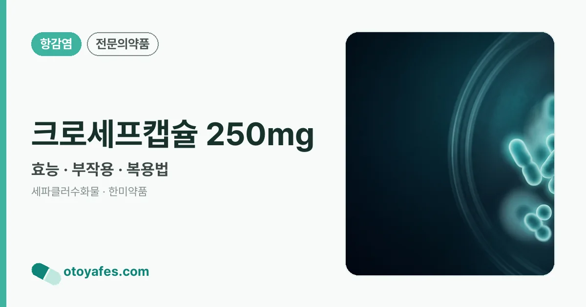 크로세프캡슐 250mg 정리 썸네일