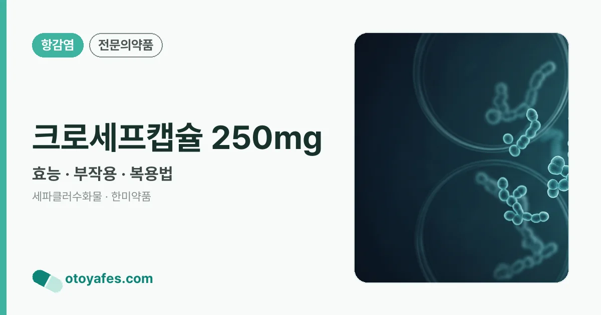크로세프캡슐 250mg 정리 썸네일