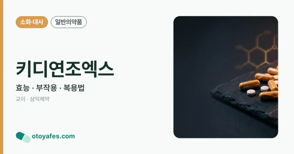 키디연조엑스 정리 썸네일