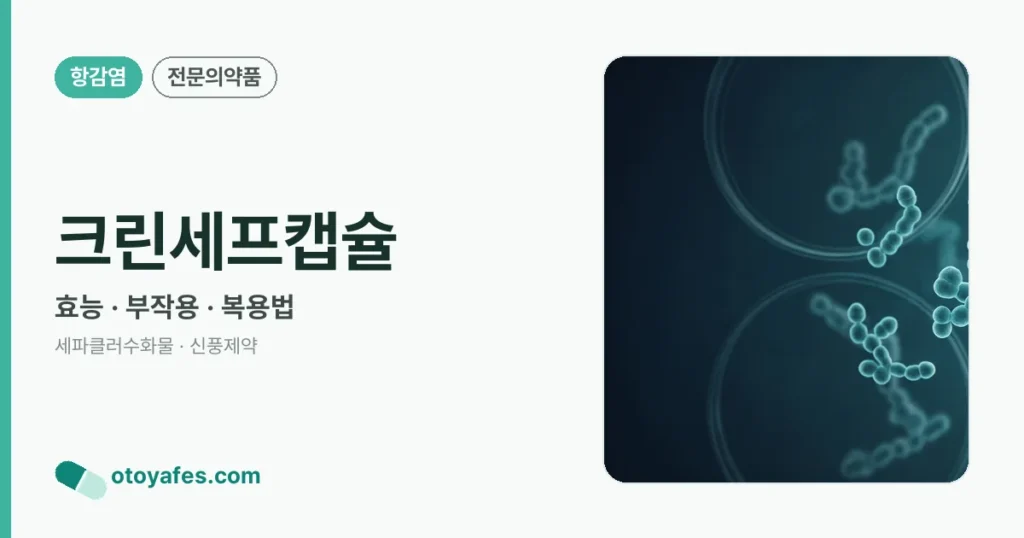 크린세프캡슐 정리 썸네일
