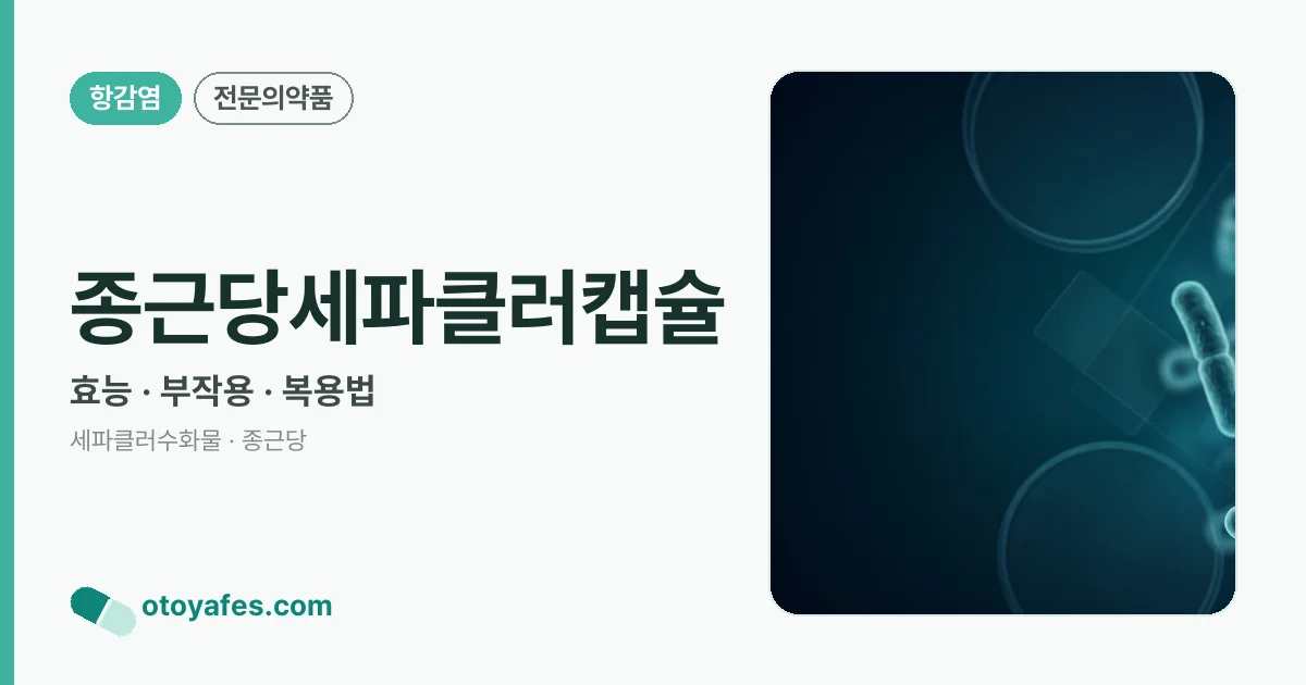 종근당세파클러캡슐 정리 썸네일