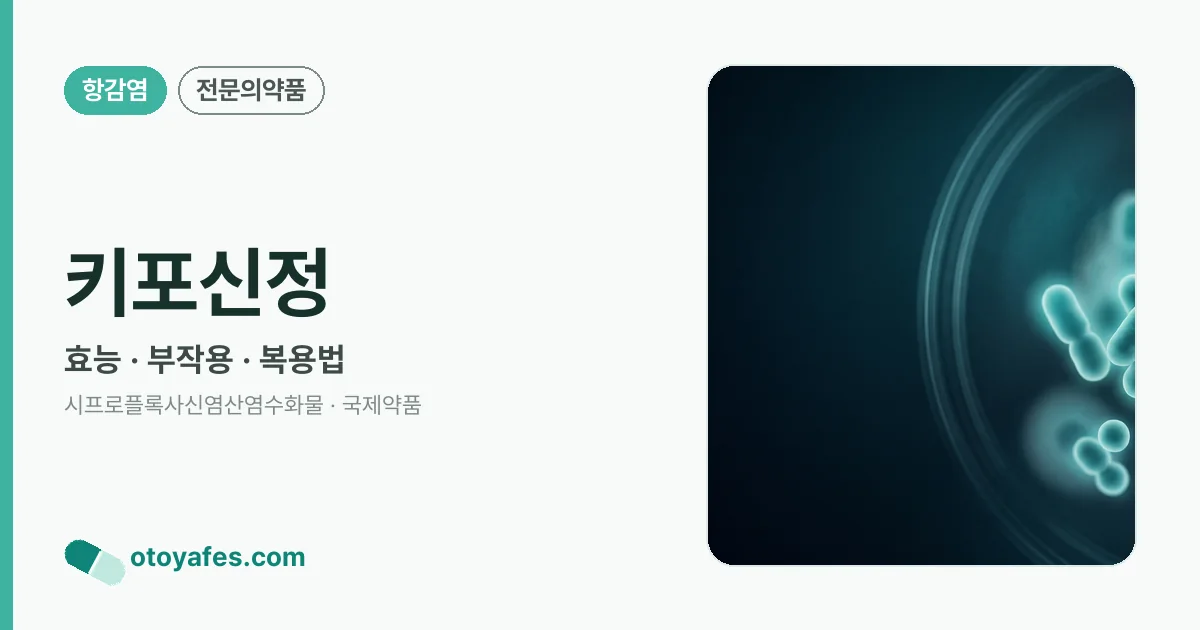키포신정 정리 썸네일