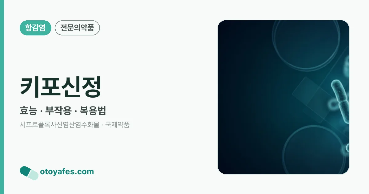 키포신정 정리 썸네일