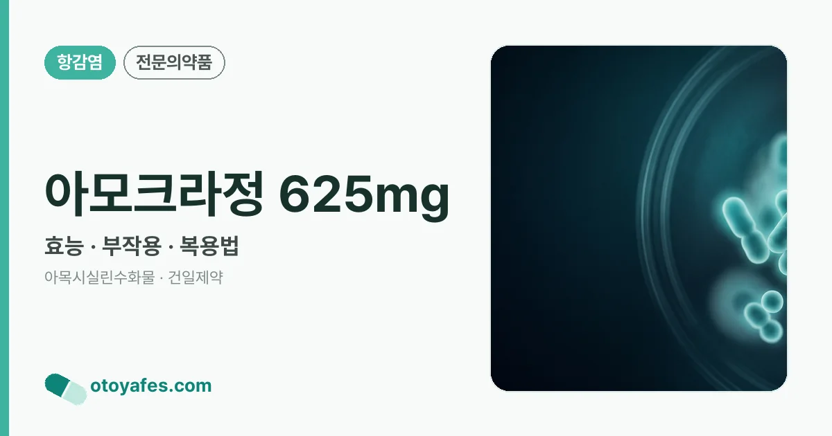 아모크라정 625mg 정리 썸네일