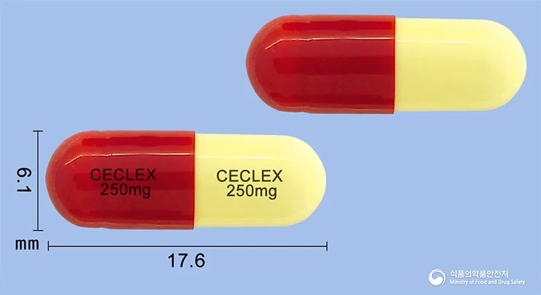 세클렉스캡슐250mg 실물 사진