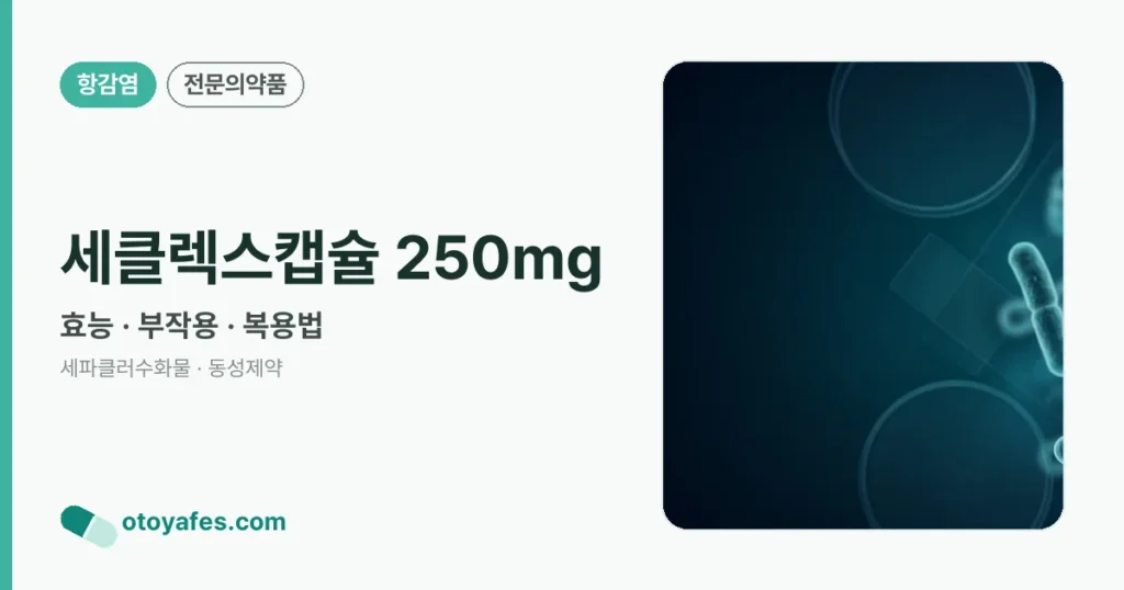 세클렉스캡슐 250mg 정리 썸네일