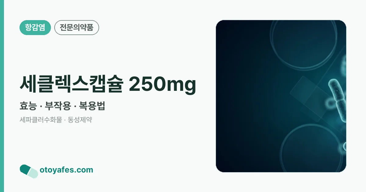 세클렉스캡슐 250mg 정리 썸네일