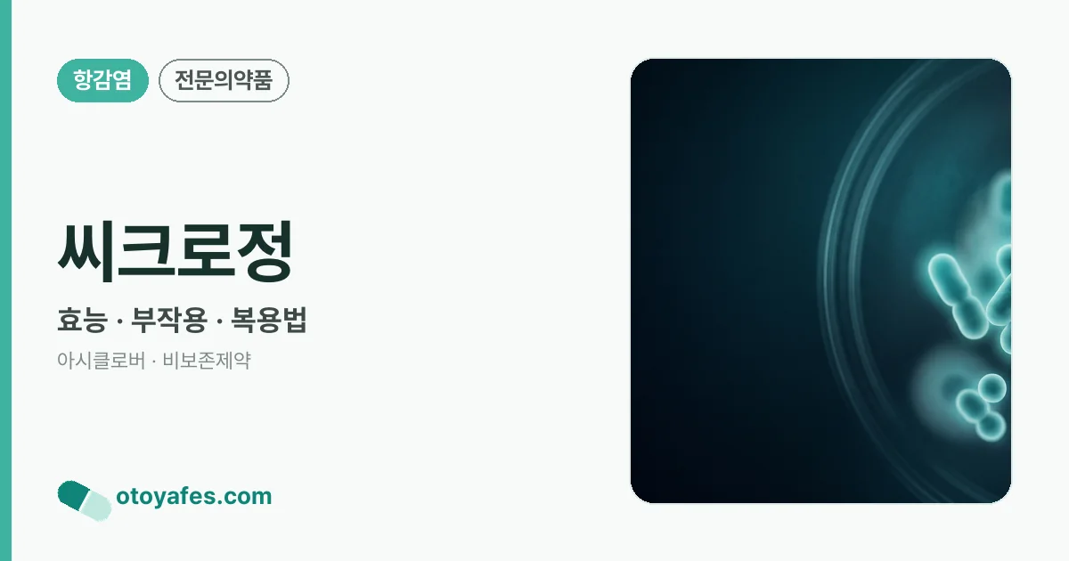 씨크로정 정리 썸네일