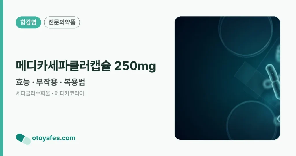 메디카세파클러캡슐 250mg 정리 썸네일