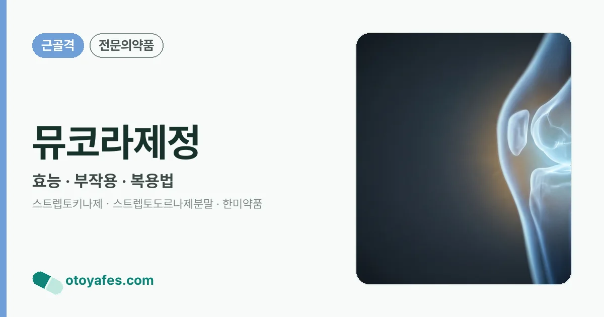 뮤코라제정 정리 썸네일