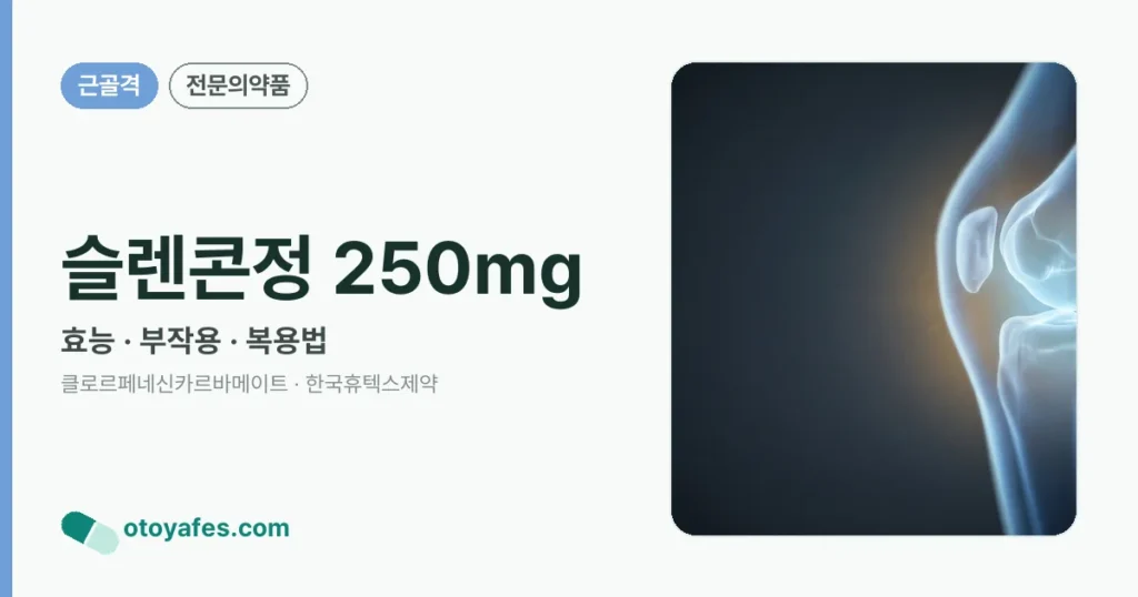 슬렌콘정 250mg 정리 썸네일