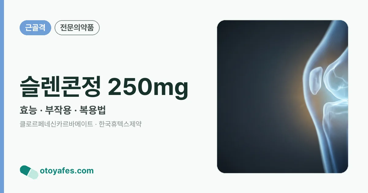 슬렌콘정 250mg 정리 썸네일
