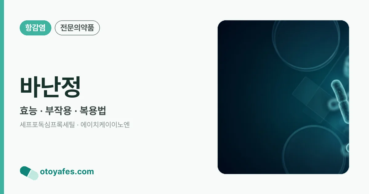 바난정 정리 썸네일