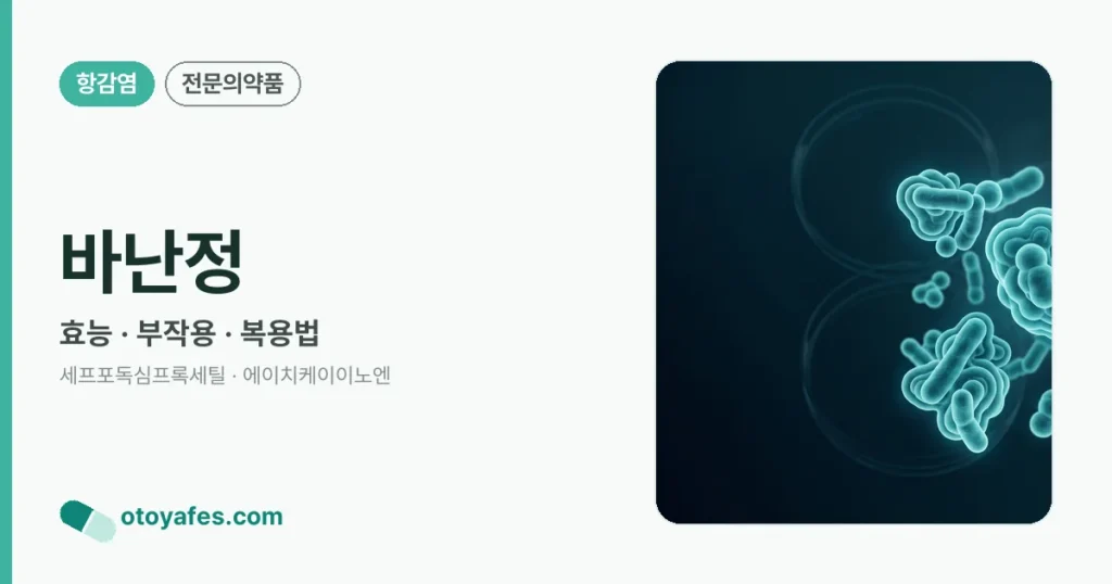바난정 정리 썸네일