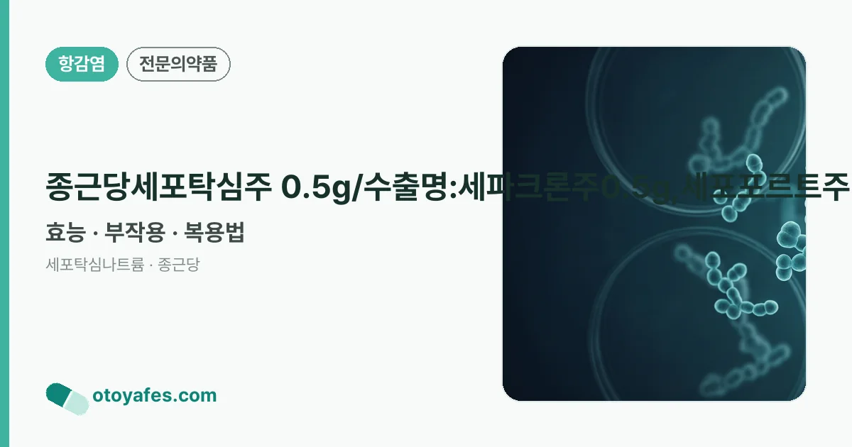 종근당세포탁심주 0.5g/수출명:세파크론주0.5g,세포포르트주0.5g 정리 썸네일