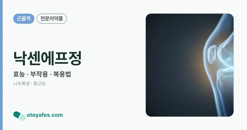 낙센에프정 정리 썸네일