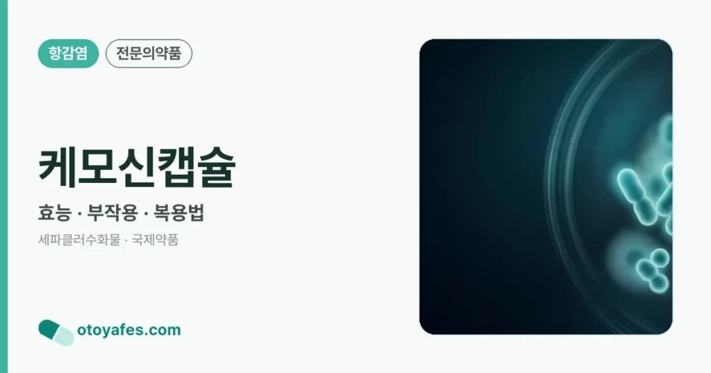 케모신캡슐 정리 썸네일