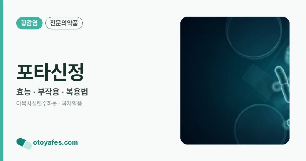 포타신정 정리 썸네일