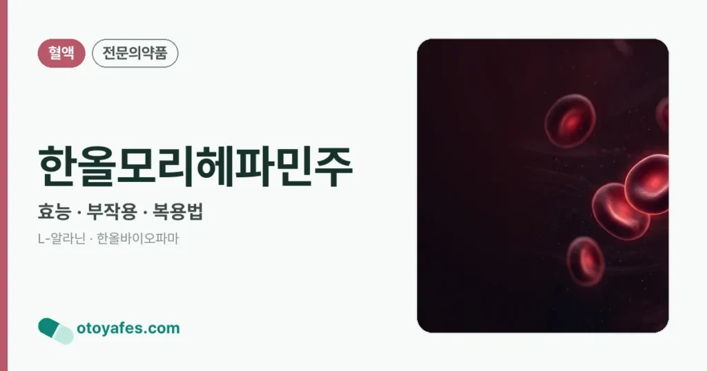 한올모리헤파민주 정리 썸네일