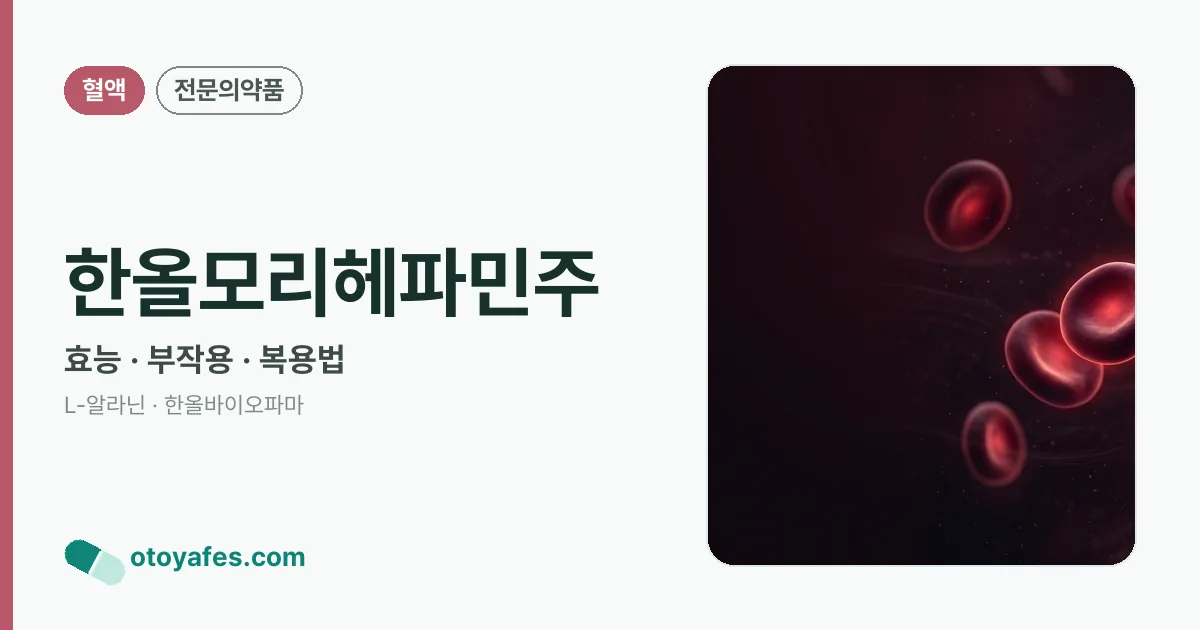한올모리헤파민주 정리 썸네일