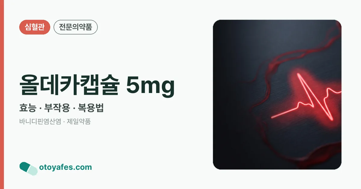 올데카캡슐 5mg 정리 썸네일