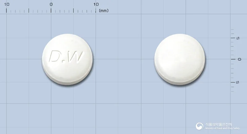 알비스정 실물 사진