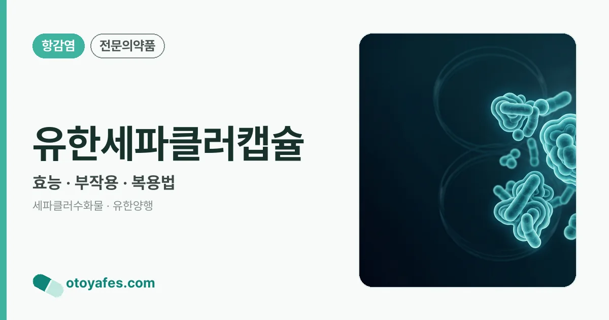 유한세파클러캡슐 정리 썸네일