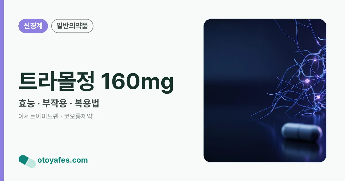 트라몰정 160mg 정리 썸네일