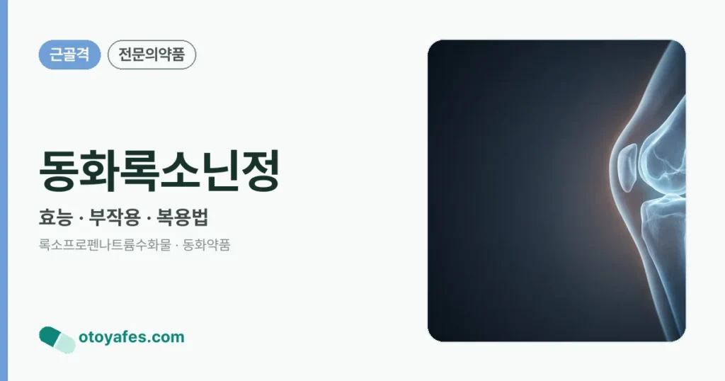 동화록소닌정 정리 썸네일