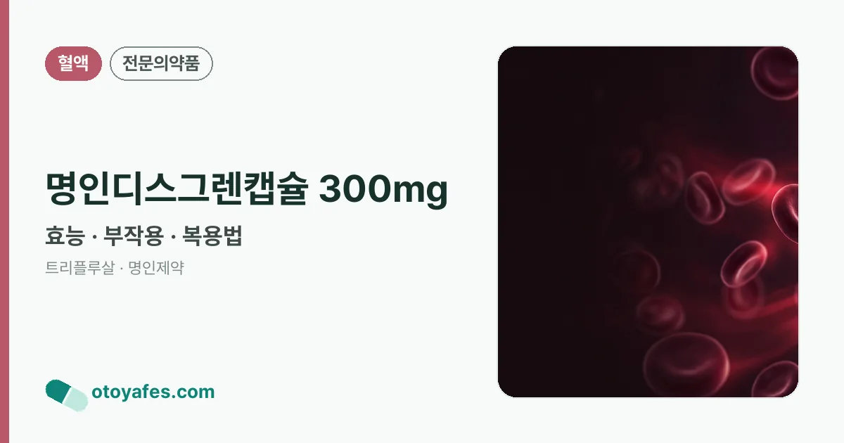명인디스그렌캡슐 300mg 정리 썸네일