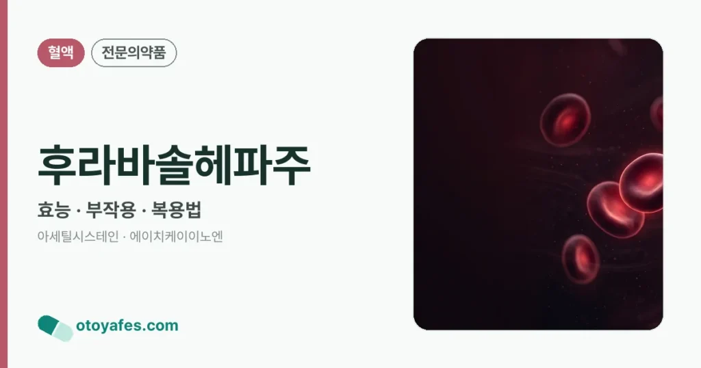 후라바솔헤파주 정리 썸네일
