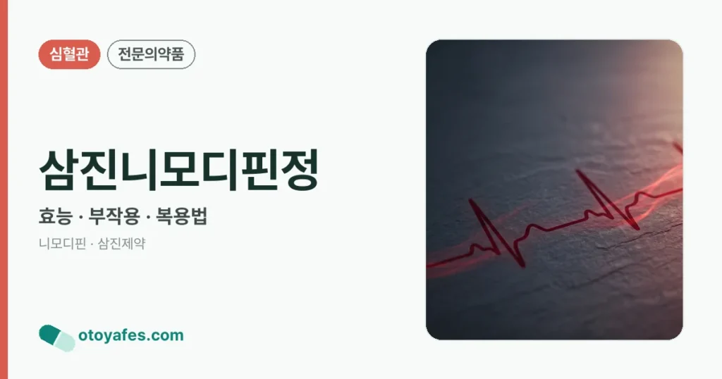 삼진니모디핀정 정리 썸네일