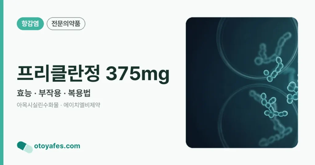 프리클란정 375mg 정리 썸네일