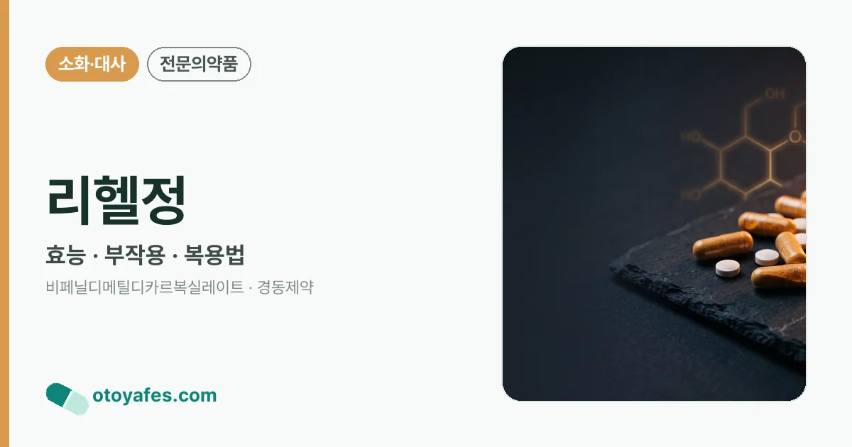 리헬정 정리 썸네일