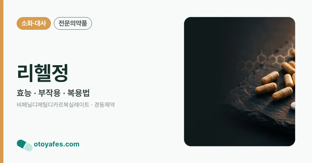 리헬정 정리 썸네일