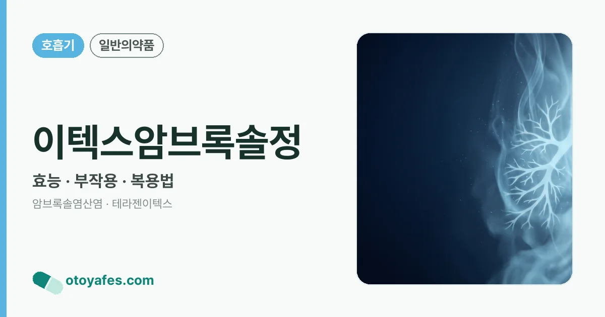 이텍스암브록솔정 정리 썸네일