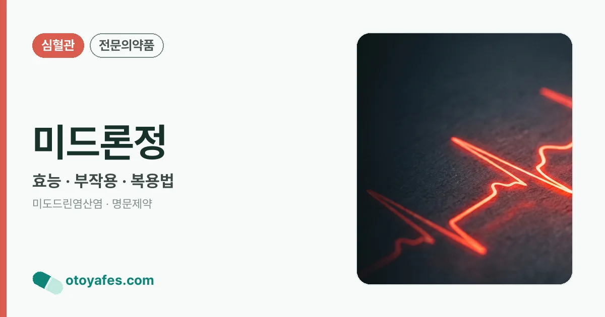 미드론정 정리 썸네일