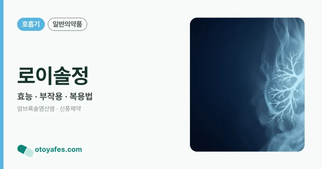 로이솔정 정리 썸네일