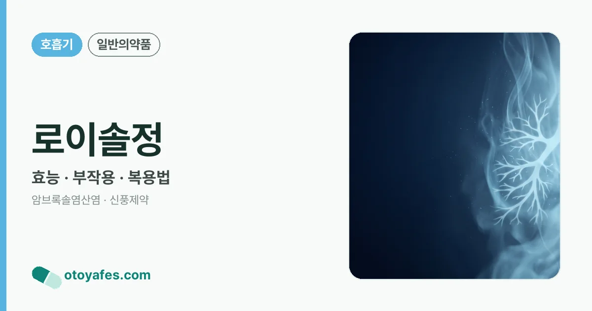 로이솔정 정리 썸네일