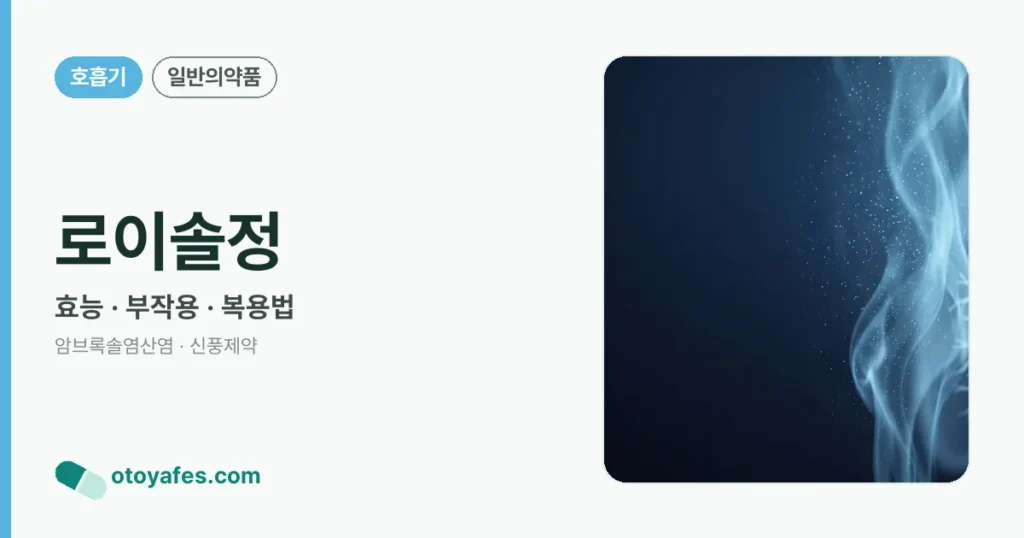 로이솔정 정리 썸네일