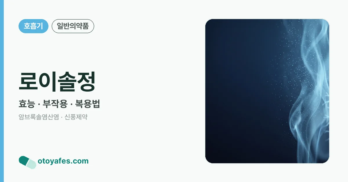 로이솔정 정리 썸네일