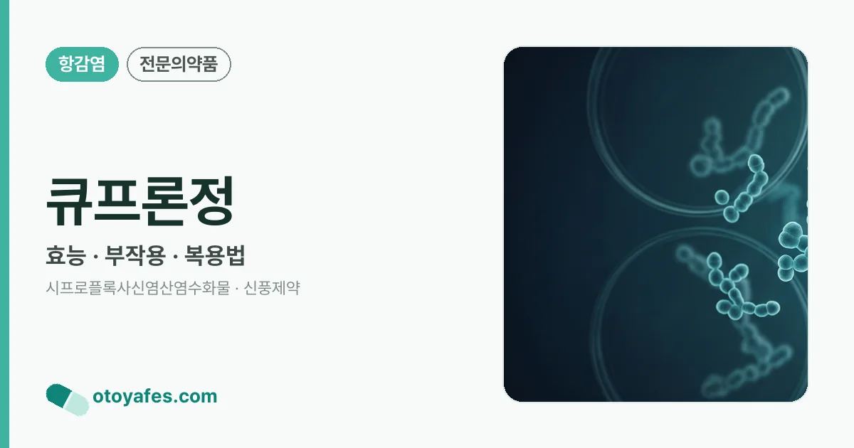 큐프론정 정리 썸네일