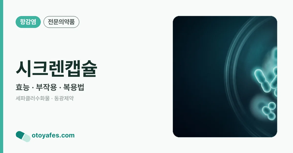 시크렌캡슐 정리 썸네일