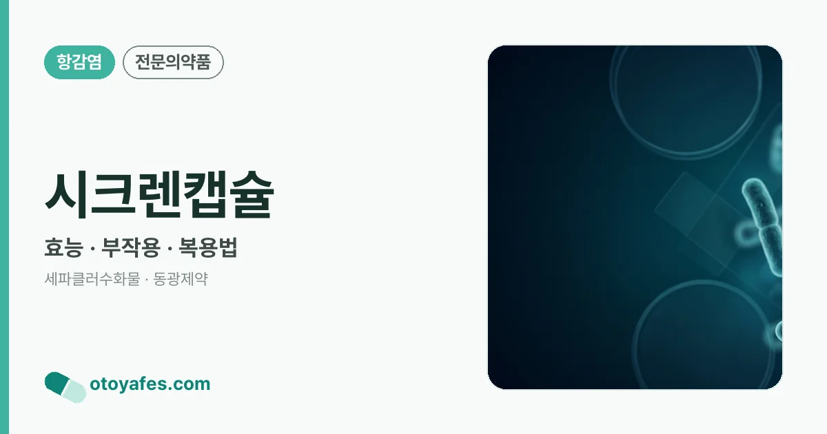 시크렌캡슐 정리 썸네일
