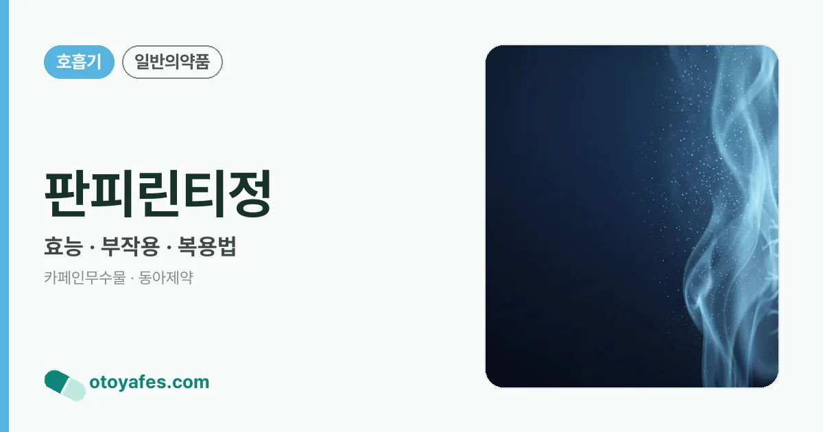 판피린티정 정리 썸네일