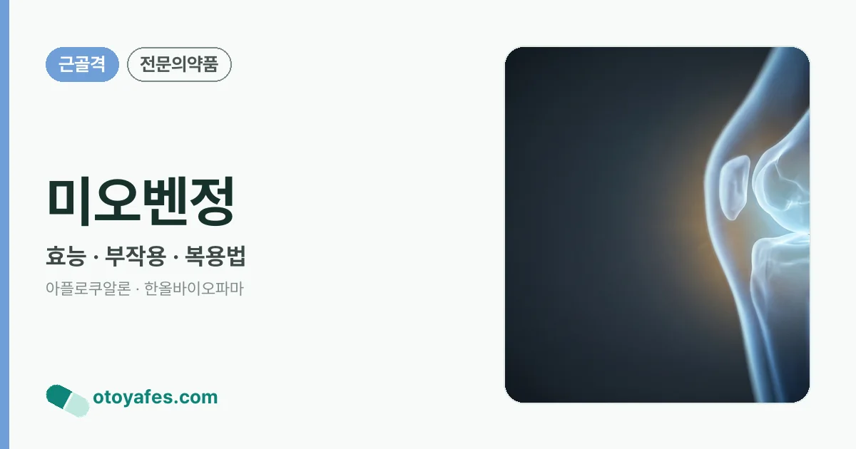 미오벤정 정리 썸네일