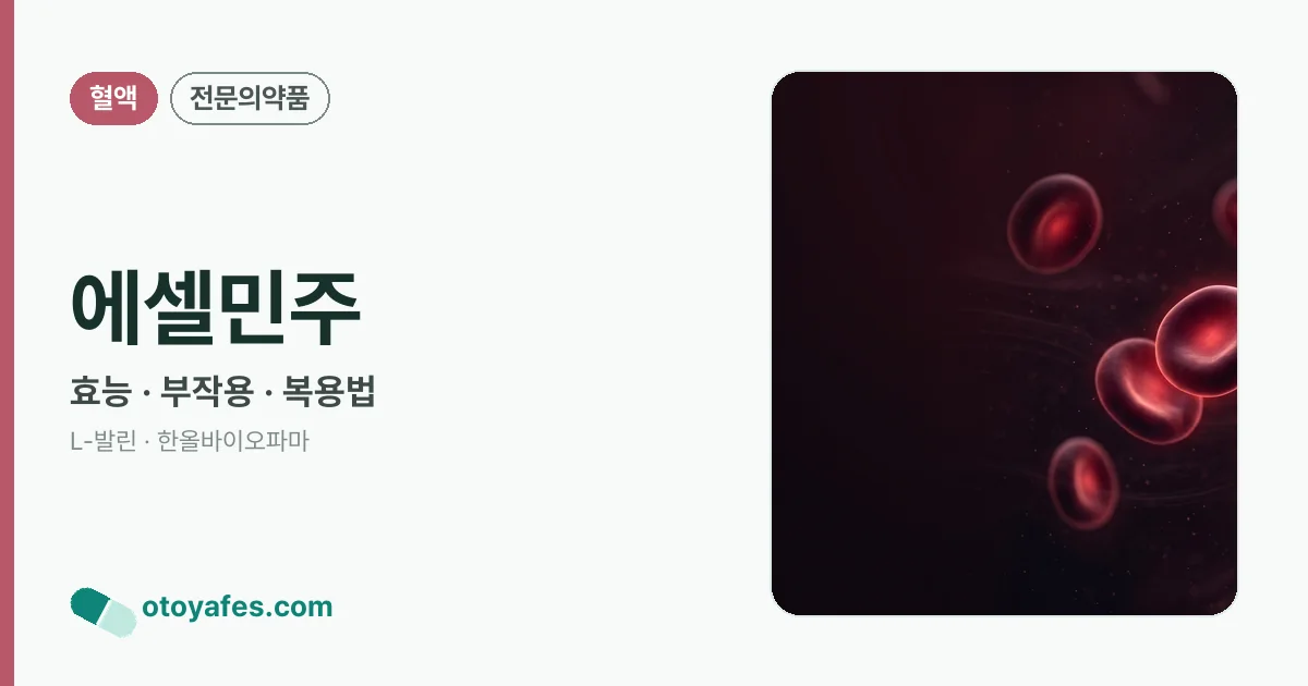 에셀민주 정리 썸네일