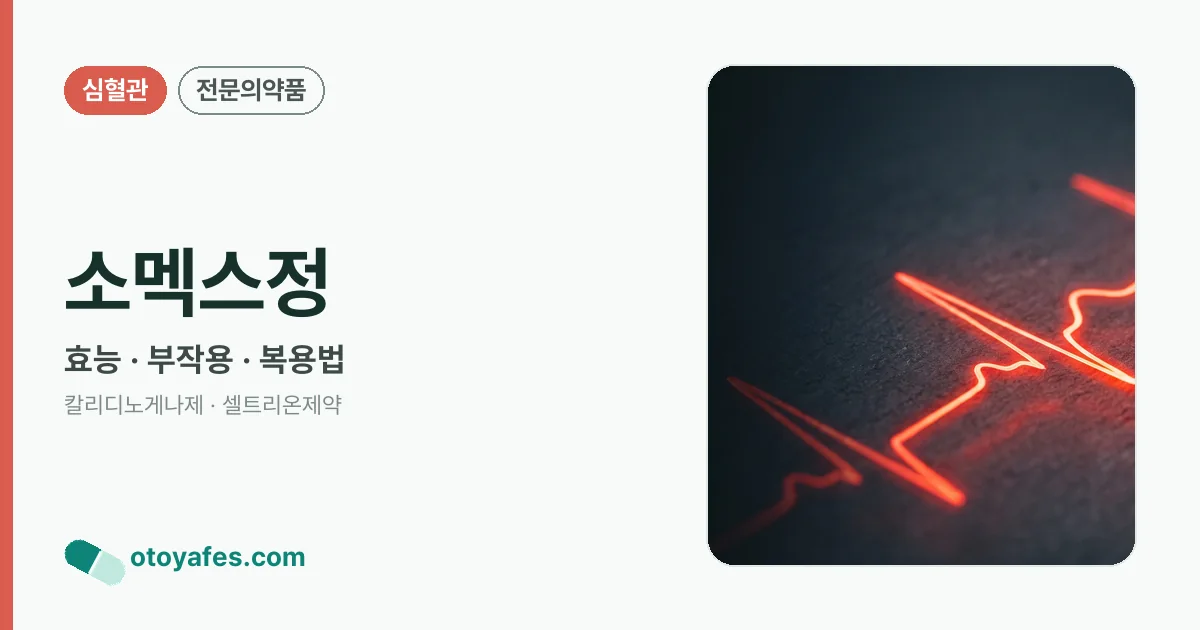소멕스정 정리 썸네일